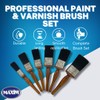 PROFESSIONAL+ 6 Piece Paint & Varnish Brush Set - Premium