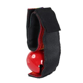 Chums CH61-1173 -Z021 Rainbow Bear Bell 2024 Model Camping Accessories