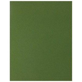 PA Paper Accents Textured Cardstock 8.5" x 11" Rain Forest, 74lb colored cardstock paper for card making, scrapbooking, printing, quilling and crafts, 25 piece pack