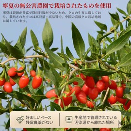 Heixi Wolfberry Seeds, 1.0 oz (280 g) (140 g) x 2, Goji Berry Tea, Special Granules Grains, No Pesticides, Additive-Free