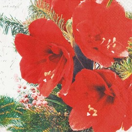 20 Small Cocktail Napkins Red Amaryllis Leaves Flowers Christmas Winter Table Decoration Decoupage Napkin Technology 25 x 25 cm