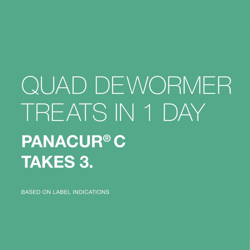 Elanco Chewable Quad Dewormer for Medium Dogs, 26-60 lbs, 2