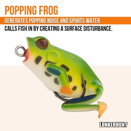 Lunkerhunt Frog Fishing Lure for Bass Fishing | Popping Frog 1/4 oz | Topwater Fishing Bait with Weedless Hooks, Hollow Body (Tree Frog)
