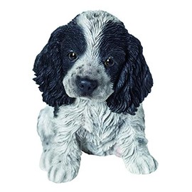 Vivid Arts Pet Pals Black & White Cocker Spaniel Puppy | Highly Detailed Frost Resistant Resin Home or Garden Decoration | PP-CKBK-F