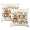 Easter Pillow Covers 16 x 16 Inch Set of 2