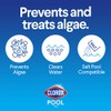 CLOROX POOL & Spa Clorox? Pool&Spa? Swimming Pool Algaecide and