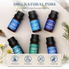 Essential Oil Set, Blended Essential Oils for Diffusers for Home