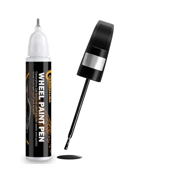 carsmallma 6X3 Lunar Rock Touch Up Paint for Toyota, Car