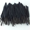 Sowder Black Goose Feather for Craft Wedding Home Decorations Pack