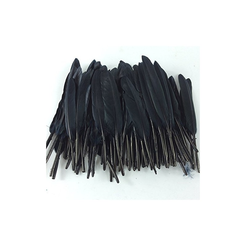 Sowder Black Goose Feather for Craft Wedding Home Decorations Pack