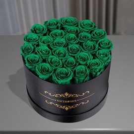 NATROSES 27 Piece Forever Preserved Roses in a Box, Preserved Flowers for Delivery Birthday, Flowers Gifts for Mothers Day, Forest Green