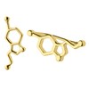 ScienceFox Serotonin Molecule Earrings - 925 Sterling Silver - Finished
