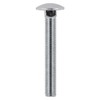 TIMCO Carriage Bolt DIN 603 - A2 SS - 8.0