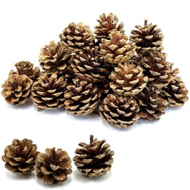 30pcs Christmas Large Pine Cones with Gold Glitter, 1.2-2 inch Natural Pinecones for Decorating, Pine Cones Decorations for Fall, Christmas DIY Crafts,Vase & Bowl Filler,Home Decor,Thanksgiving,Winter