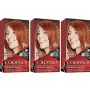 Revlon Pack of 3  Revlon Colorsilk Bright Auburn #45 3D