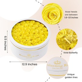 Preserved Roses Forever Flowers Real Roses in a Box Mother's Day Birthday Flowers for Her Mom Women Wife Valentine's Day, Yellow, 47 Piece