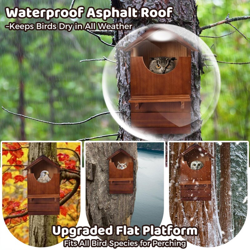 Large Owl House, 15'' x 10'' x 7'' Wooden Screech