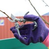 Dekton Mini Bypass Secateurs – Compact Precision Pruner for Small