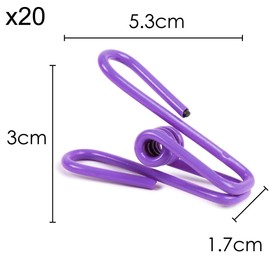 TRIXES 20 Pack Rainbow Coloured Metal Clothes Pegs
