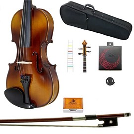 Paititi Solid Wood Student Violin Start Kit with Case, Bow, Rosin, String, Mute and Fingerchart! (1/2)
