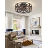 Caged Ceiling Fan with Light and Remote, 20" Low Profile
