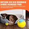 LaRoo Hundebal Hundespielzeug Balls,Hundeball mit Quietscher, Hundespielzeug Schwimmfähig, Kauspielzeug für