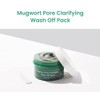 Axis-Y: Mugwort Pore Clarifying Wash Off Pack 100 ml