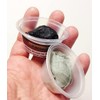 Morezmore M00608 2oz Magic Sculpt Epoxy Clay Black Sample Modeling