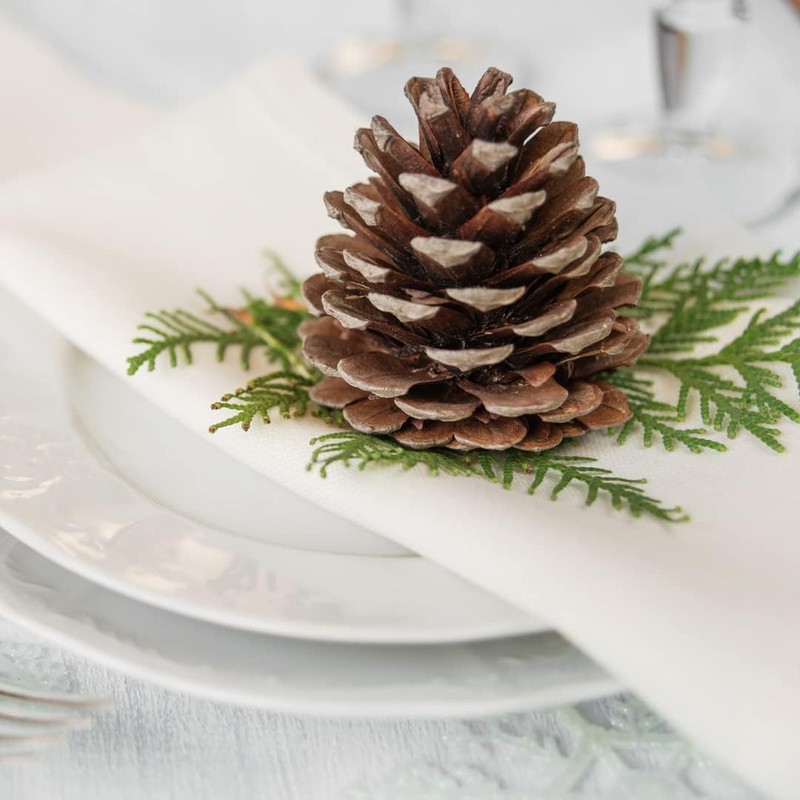 Golden Star Maifun Rice Noodles, 6oz Bag (8 Pack)