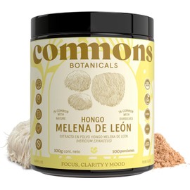 Hongo Melena de Leon - Extracto en Polvo 100 gr - Suplemento Natural - Hongos Adaptógenos - Cuerpo Frutífero - 100% Orgánico- El hongo de la memoria y la concentracion