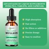 JINGYAT Mullein Drops for Lungs | Powerful Mullein Leaf Extract
