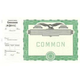 Goes 512 Blank Common Stock Certificate, Stock Certificate Forms, Size 8-1/2" x 15", Printable, Laser or Ink Jet Compatiable (Pack of 5)