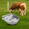 Stainless Steel Automatic Waterer Water Bowl with Valve for Livestock,Horse,Dog,Goat,Pig,Chicken,Animals