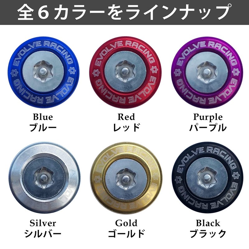 EVOLVERACING Anti-Theft Bolt Set for License Plate Specific Vehicle Inspection