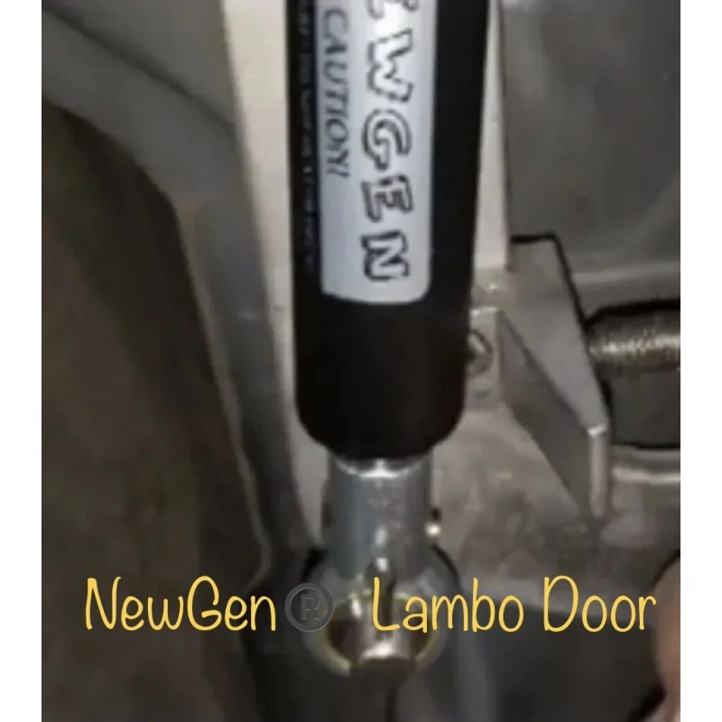 2004-2007 Scion XB NewGen® Lambo Door Shocks