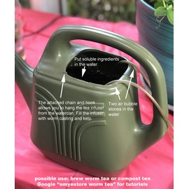 Sow in Fall/Spring-4000 Bok Choy Seeds for Sprouting,Chinese Cabbage Seed for Planting,Microgreen/Sprouting Seeds for Home Vegetable Garden.黑叶白菜 (Pak Choi White Stem, 10g)