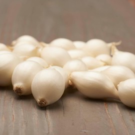 Snowball Winter Bulbs (500 g) - Winter Bulbs Hardy - High Quality from Holland (no Seeds) - Mild Sharp Vegetable Onion - Onion Size 14-21 mm