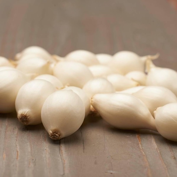 Snowball Winter Bulbs (500 g) - Winter Bulbs Hardy -