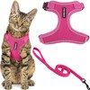 Voyager Escape Proof Cat Harness and Leash Set with Reflective