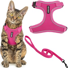Voyager Escape Proof Cat Harness and Leash Set with Reflective Stitching, Neoprene Handle 5ft - Supports Small, Medium and Large Cats, Kittens for Walking by Best Pet Supplies - Fuchsia, S