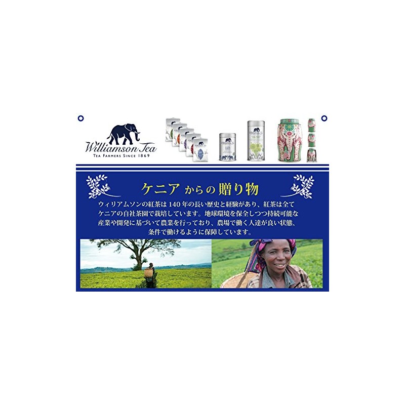 Williamson Tea Gift, Bonus Item, Present, Gift Bag Included