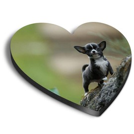 1 x Heart MDF Magnets - Small Black Chihuahua Puppy Dog 46313
