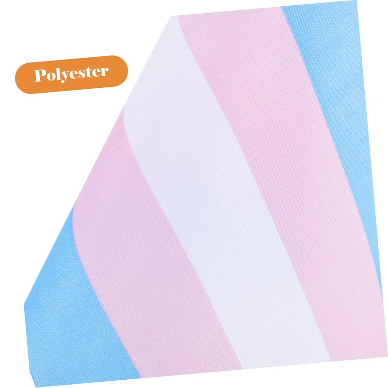 COHEALI 2 Sets Polyester Rainbow Pride Desk Flag Support Small