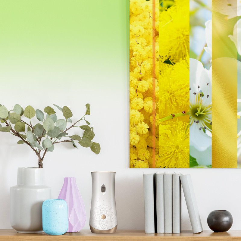 Glade Automatic Spray Refill, Radiant Bloom, Scented Air Freshener for