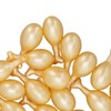 Retinol Serum Capsule Nourishing Facial Serum 30 Pack Skin Care