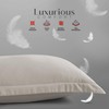 LYMA Bedding Pillow Cases 2 Pack, Ultra Soft Breathable Oxford