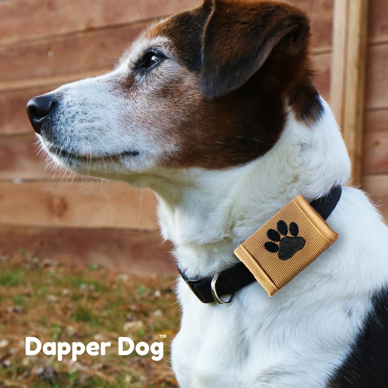 Dapper Dog Pet Tag Silencer and AirTag Holder - Ballistic