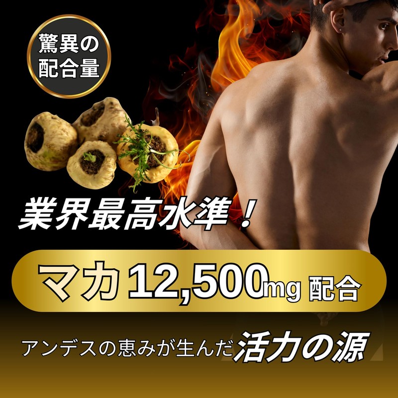 EnerVita マルチビタミン 亜鉛 マカ サプリ ミネラル 120粒 栄養機能食品 医師推奨 疲労回復