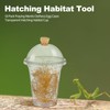 Honeydak 50 Pack Praying Mantis Habitat, Live Chinese Ootheca Praying