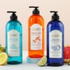 CLABO 딥클린 샴푸 트로피칼 시트러스, 960ml, 2개 CLABO Deep Clean